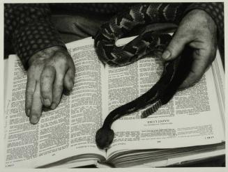 Holiness Hands with Serpent & Bible