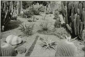 Huntington Gardens, California