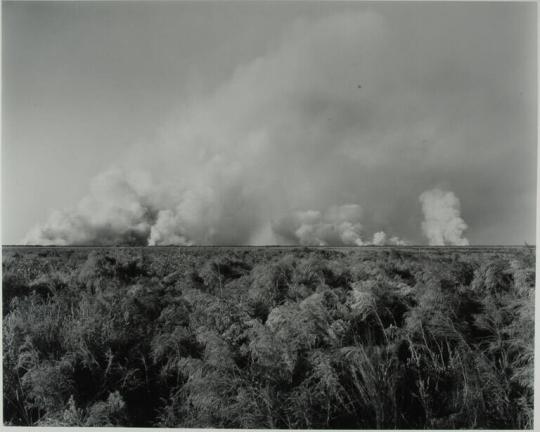 Marsh Fire, Bolivar Peninsula, Texas