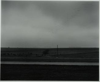 Landscape near Ft. Worth, Texas