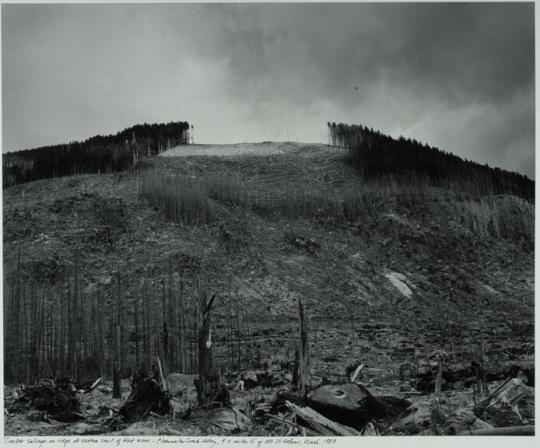 Timber Salvage on Ridge at Eastern Limit of Blast Zone, Clear Water Creek Valley 9.5 miles east of Mount St. Helens, Washington