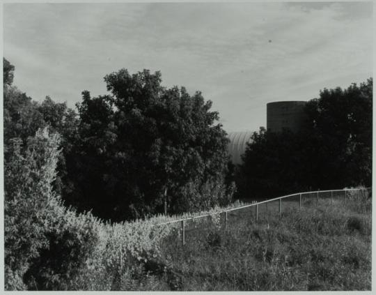 Vegetation near Freeway - Forest Lake, Minn.