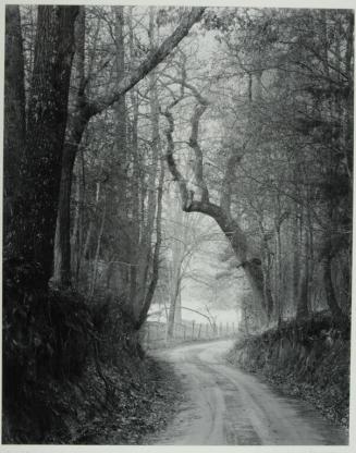 Road, Harrison County, Texas