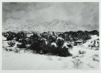 Snow, Sandia Foothills, New Mexico