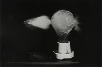 Death of a Light Bulb