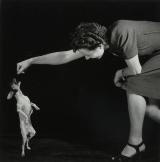 Begging Dog with Woman