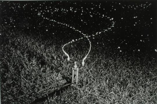 Water Sprinkler