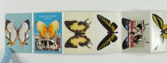 Booklet of Butterflies
