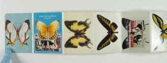 Booklet of Butterflies