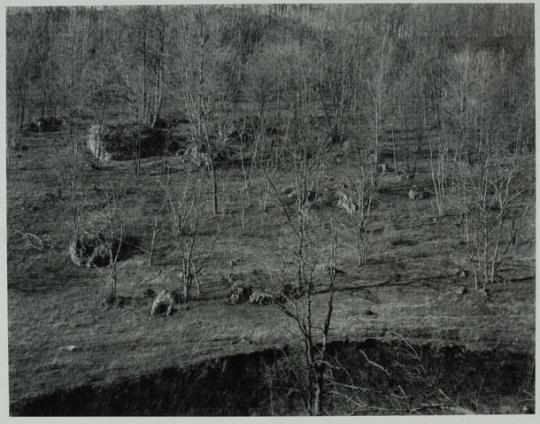 Wisconsin 1971, Hillside