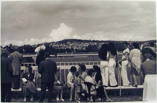 Number 7 Goes to the Start Deauville Races