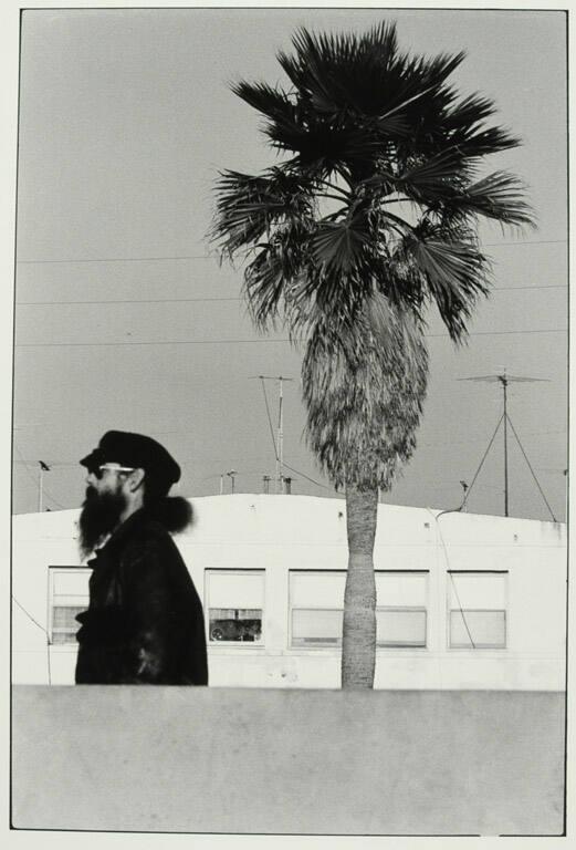 Bearded Man with Tree, Venice, U.S.A.