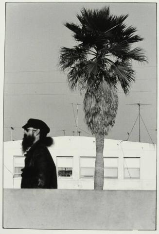 Bearded Man with Tree, Venice, U.S.A.