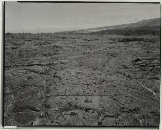 Petroglyphs, Hawaii