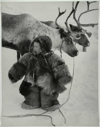 Boy with Reindeer, Offended