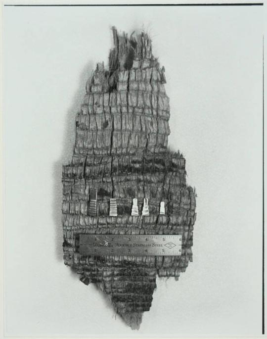 Fragments of Palm and Steel