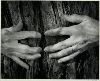 Woman's Hands