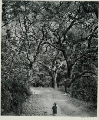 Child on Forest Road