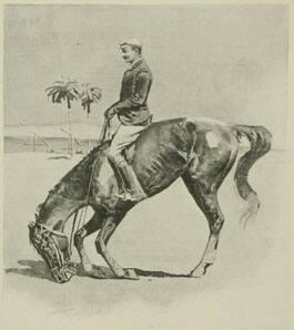 Slatin Pasha and His Performing Horse, Plum Pudding
